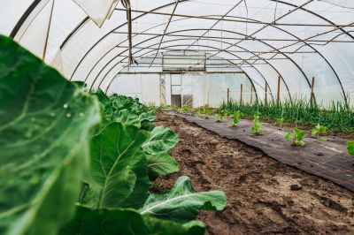 Greenhouse Installation And Repair