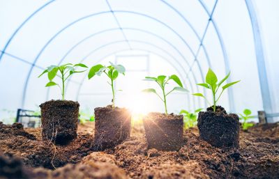 Greenhouse Installation And Repair