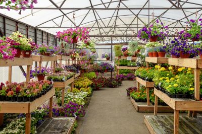 Greenhouse Installation and Repair — cost of