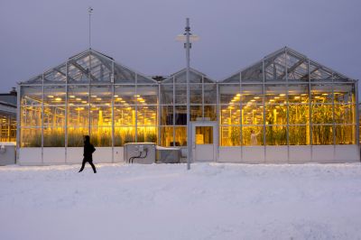Greenhouse Installation and Repair — cost of