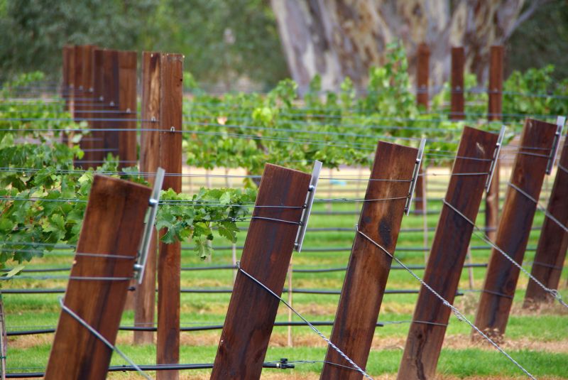 Trellis Fence Construction in Kansas City, KS