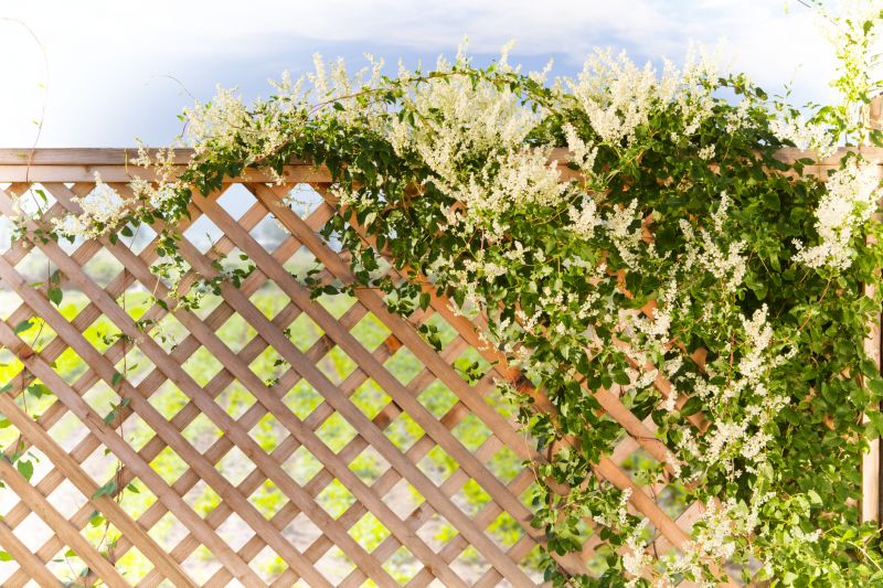 Trellis Fence Construction in Kansas City, KS